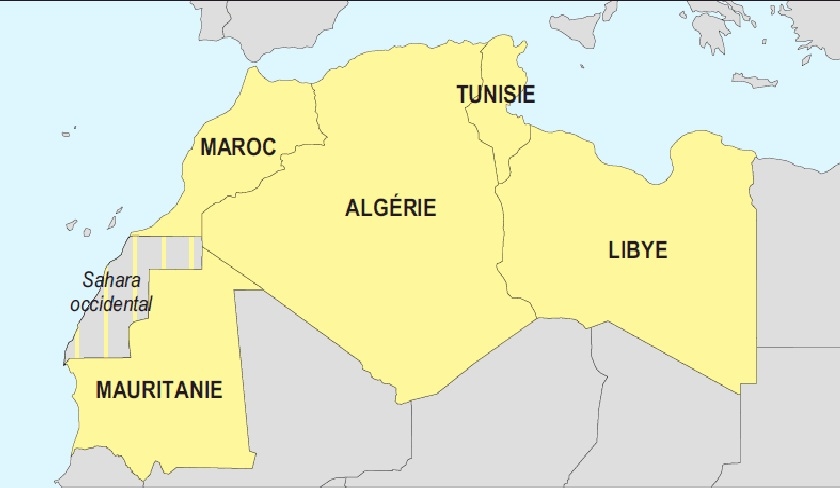 Une nouvelle coalition nord-africaine qui exclut le Maroc et admet le Sahara occidental : qu'en est-il ?